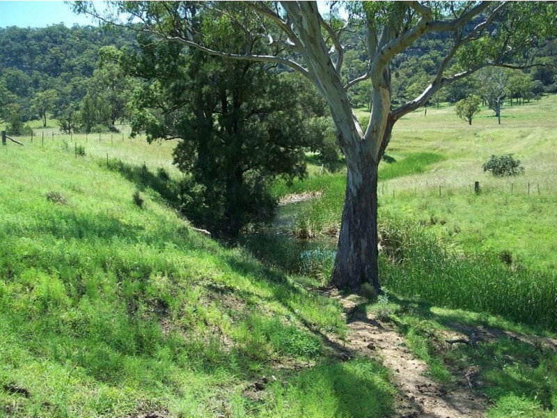 . Google Rock, Sandy Hollow NSW 2333