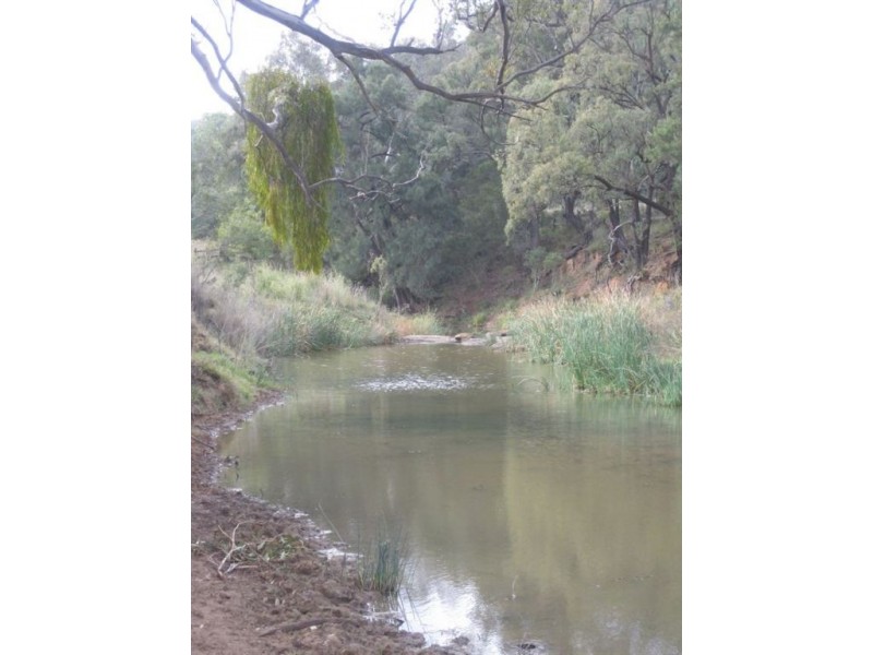 . Google Rock, Sandy Hollow NSW 2333