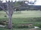 . Google Rock, Sandy Hollow NSW 2333