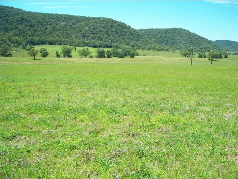 . Google Rock, Sandy Hollow NSW 2333