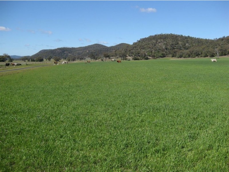 . Google Rock, Sandy Hollow NSW 2333