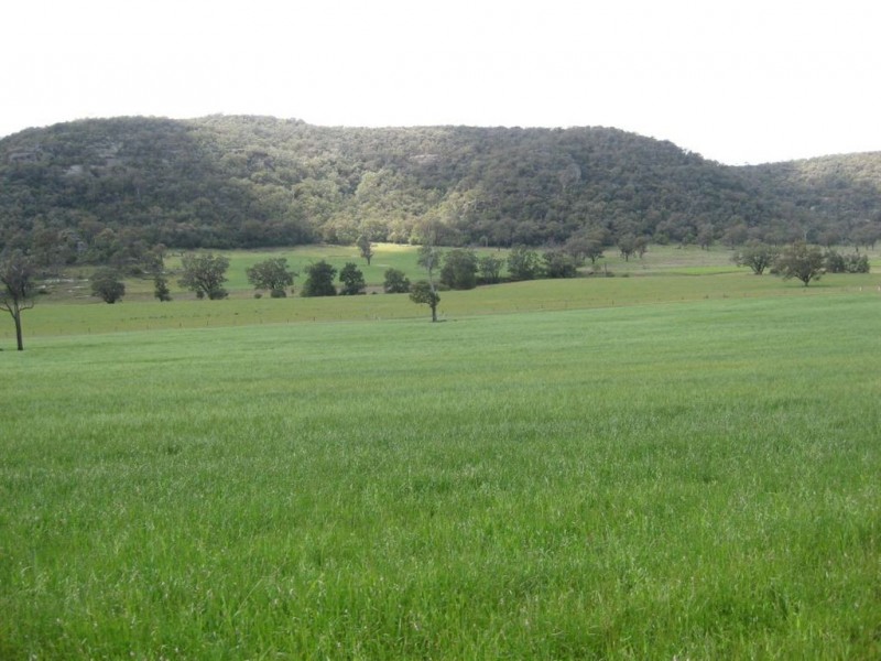 . Google Rock, Sandy Hollow NSW 2333