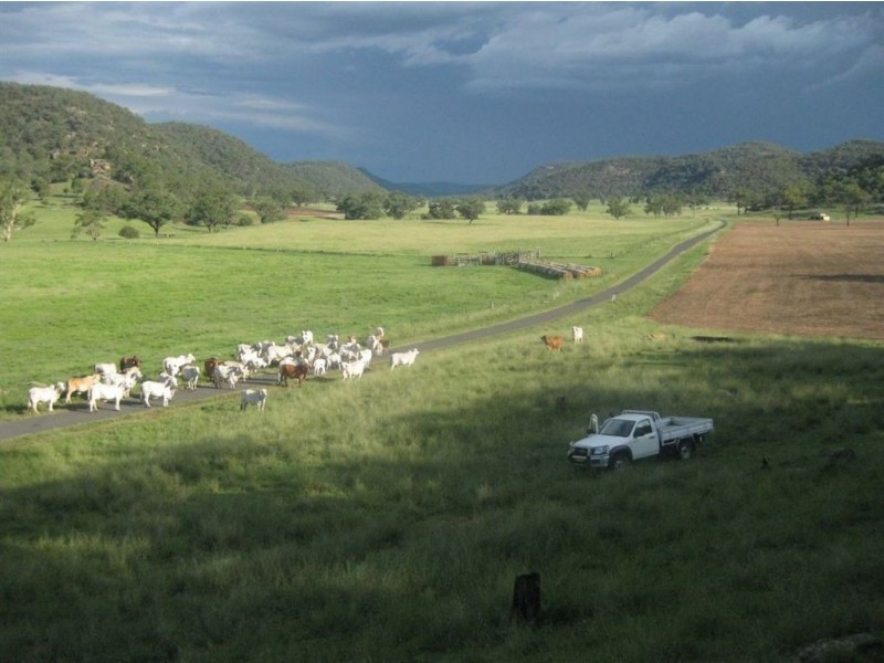 . Google Rock, Sandy Hollow NSW 2333