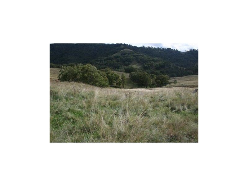 . Paddock, Timor NSW 2338