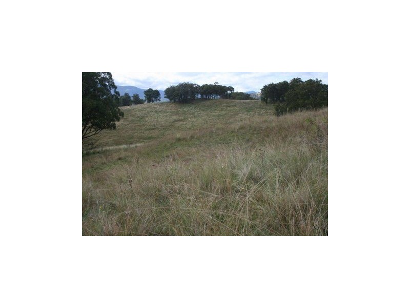 . Paddock, Timor NSW 2338