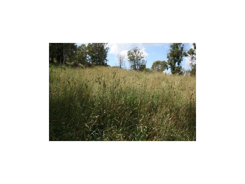 . Paddock, Timor NSW 2338