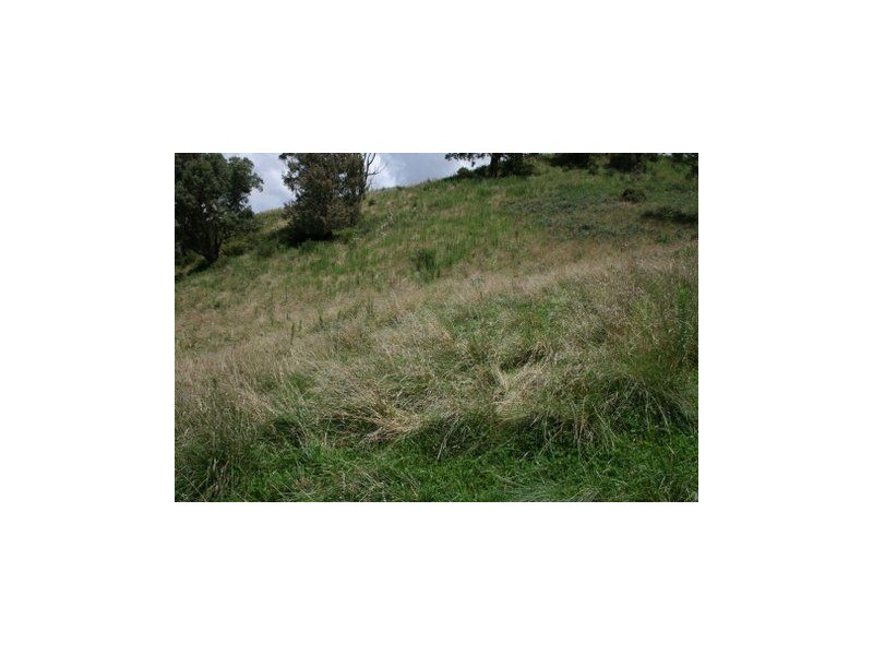 . Paddock, Timor NSW 2338