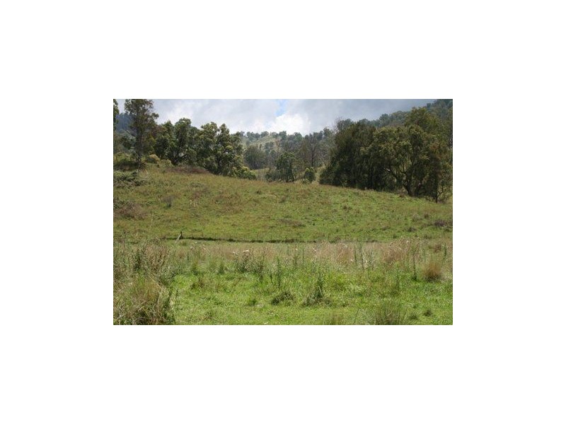 . Paddock, Timor NSW 2338