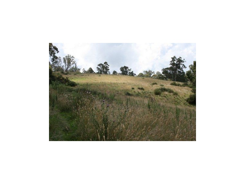 . Paddock, Timor NSW 2338