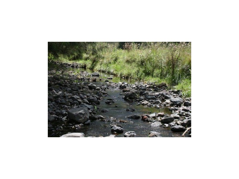 . Paddock, Timor NSW 2338