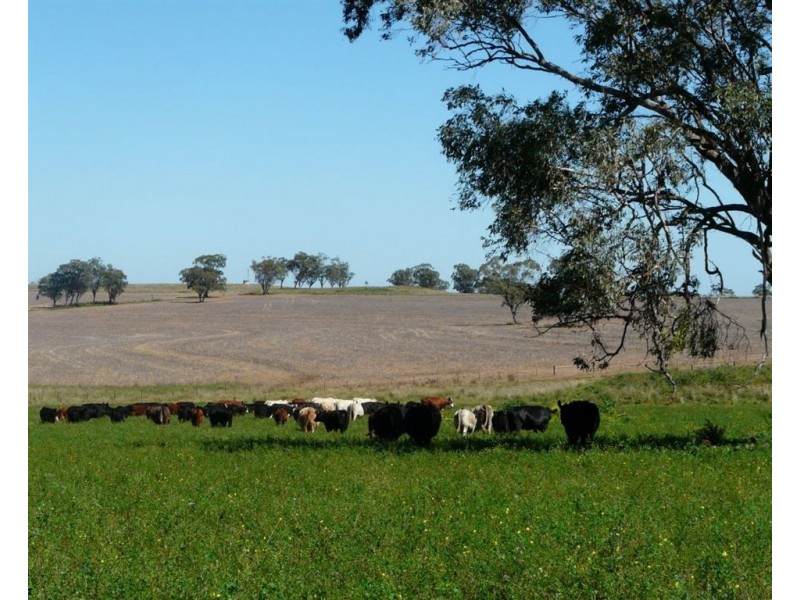 . Flight Springs, Merriwa NSW 2329