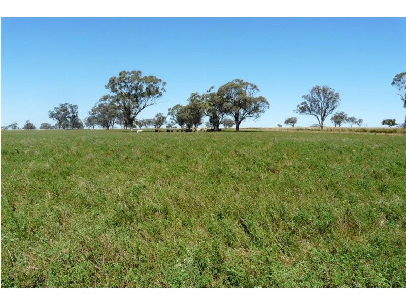 . Flight Springs, Merriwa NSW 2329