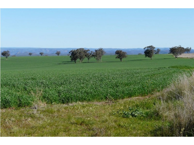 . Flight Springs, Merriwa NSW 2329