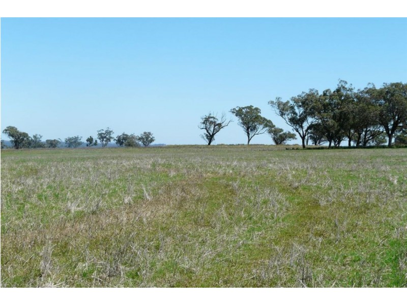 . Flight Springs, Merriwa NSW 2329