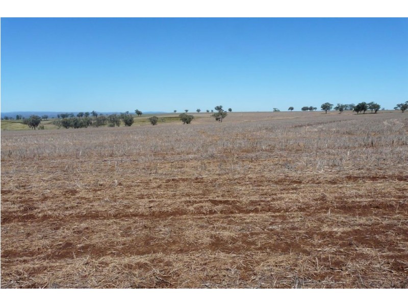 . Flight Springs, Merriwa NSW 2329