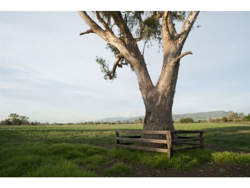 . Bhima, Scone NSW 2337