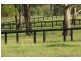 . Invermien, Scone NSW 2337