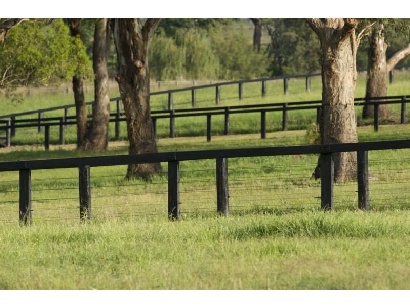 . Invermien, Scone NSW 2337