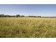 . Invermien, Scone NSW 2337