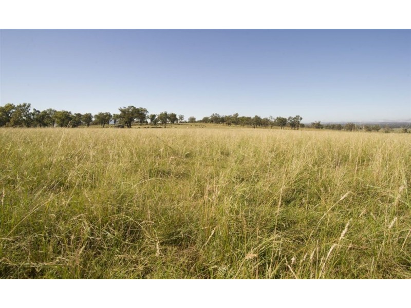 . Invermien, Scone NSW 2337