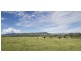 . Invermien, Scone NSW 2337