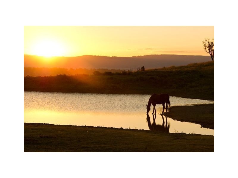 . Sefton Park, Scone NSW 2337