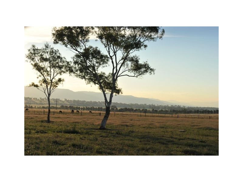 . Sefton Park, Scone NSW 2337