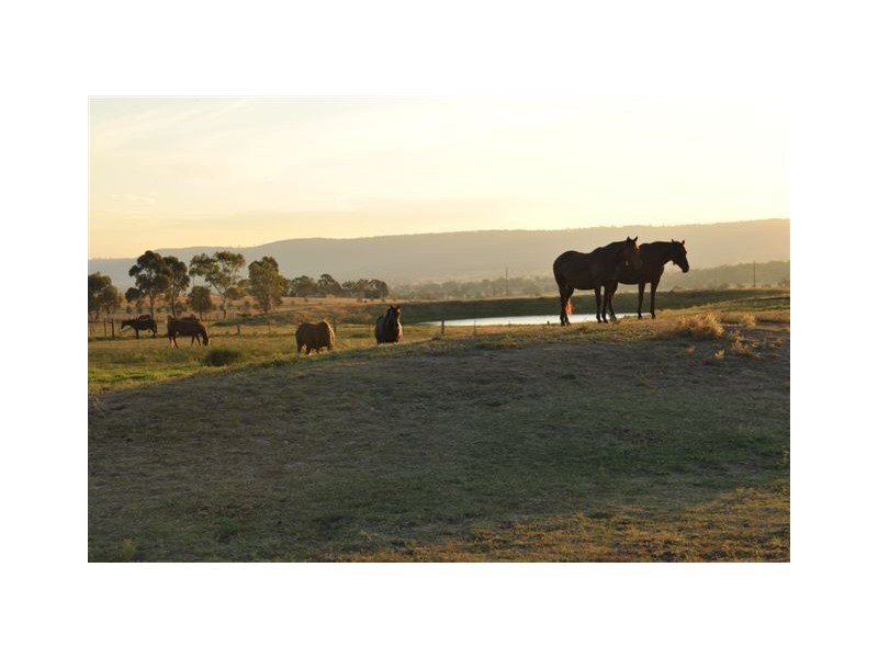 . Sefton Park, Scone NSW 2337