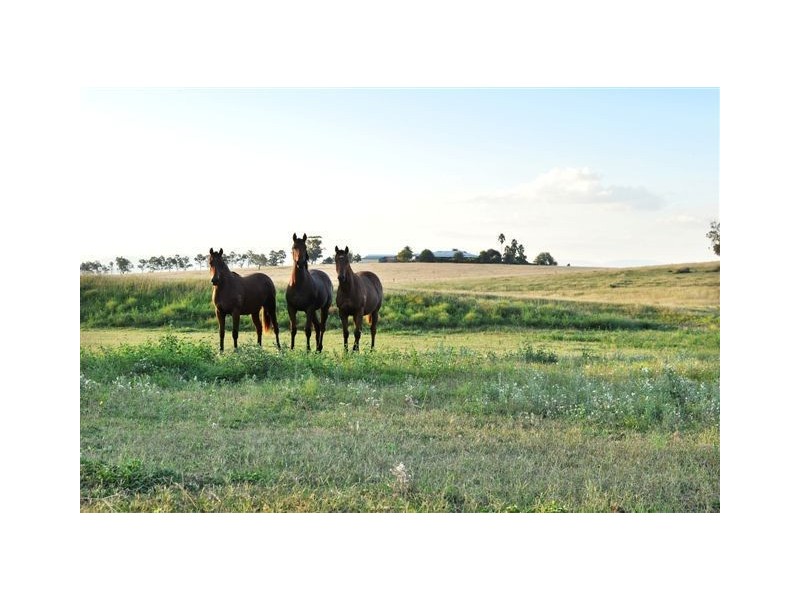 . Sefton Park, Scone NSW 2337