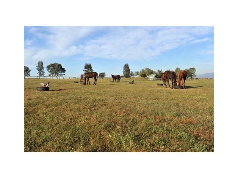 . Sefton Park, Scone NSW 2337