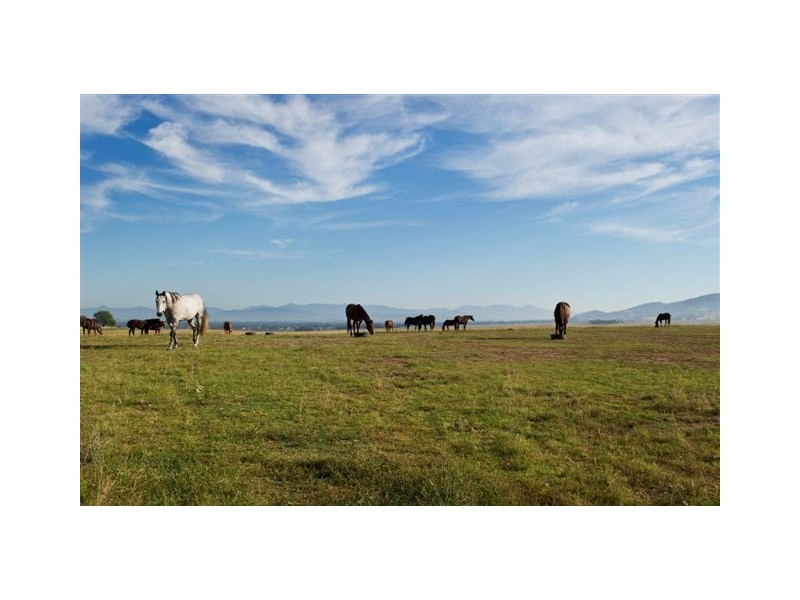 . Sefton Park, Scone NSW 2337