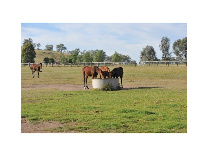 . Sefton Park, Scone NSW 2337