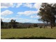. Upper Peters Creek, Cassilis NSW 2329