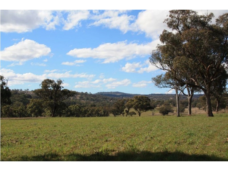 . Upper Peters Creek, Cassilis NSW 2329
