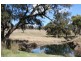 . Upper Peters Creek, Cassilis NSW 2329