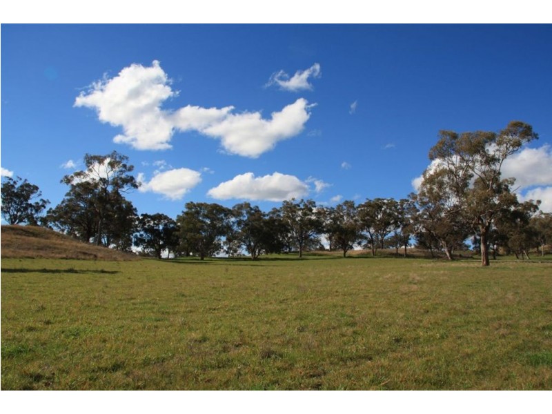 . Upper Peters Creek, Cassilis NSW 2329