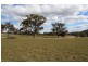 . Upper Peters Creek, Cassilis NSW 2329
