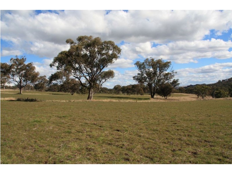 . Upper Peters Creek, Cassilis NSW 2329