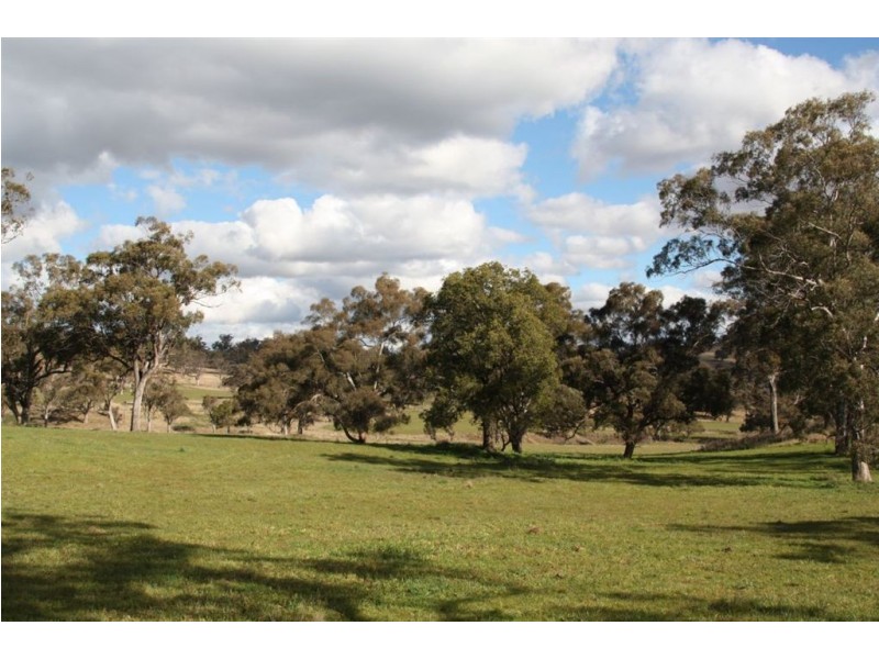 . Upper Peters Creek, Cassilis NSW 2329