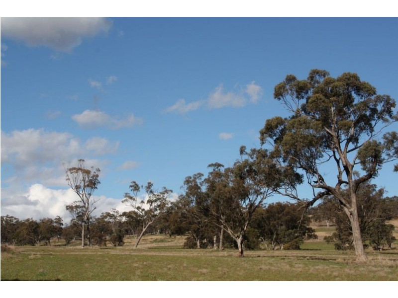 . Upper Peters Creek, Cassilis NSW 2329