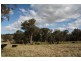. Upper Peters Creek, Cassilis NSW 2329