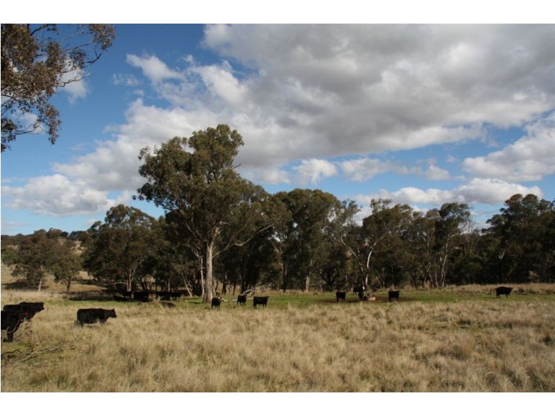 . Upper Peters Creek, Cassilis NSW 2329