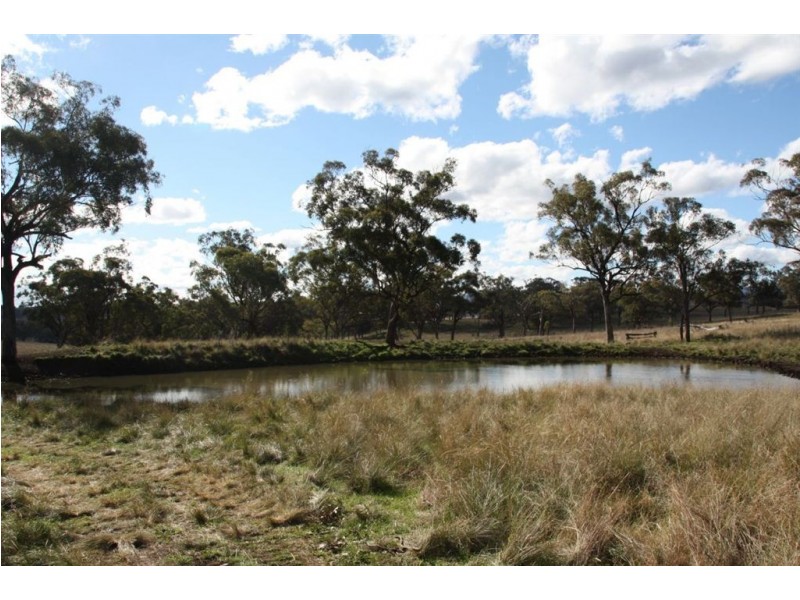 . Upper Peters Creek, Cassilis NSW 2329