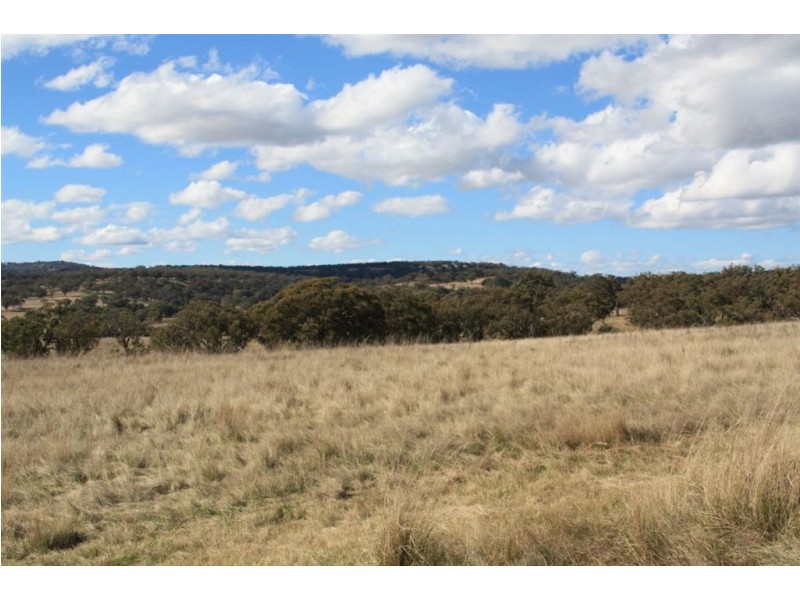. Upper Peters Creek, Cassilis NSW 2329