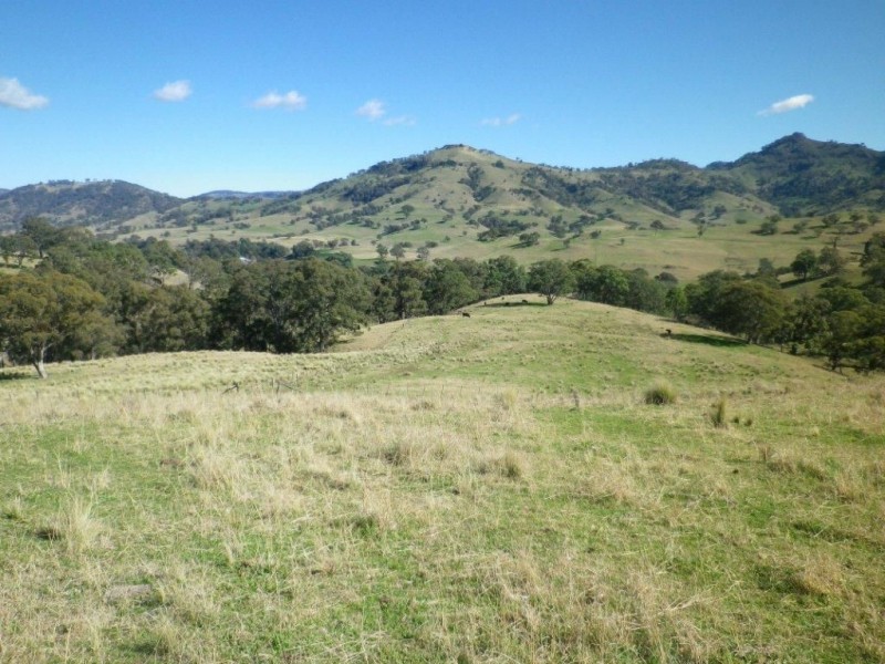 . Twin Hills & Mt Buckland, Scone NSW 2337