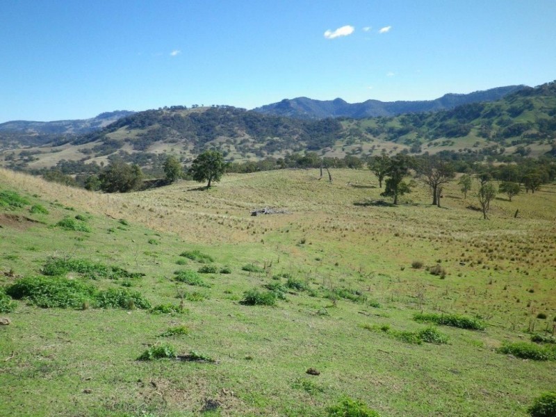 . Twin Hills & Mt Buckland, Scone NSW 2337