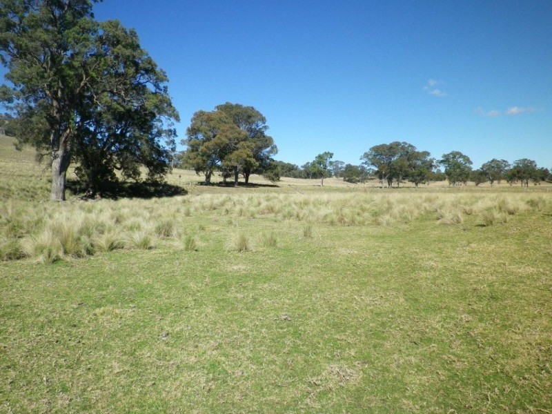 . Twin Hills & Mt Buckland, Scone NSW 2337