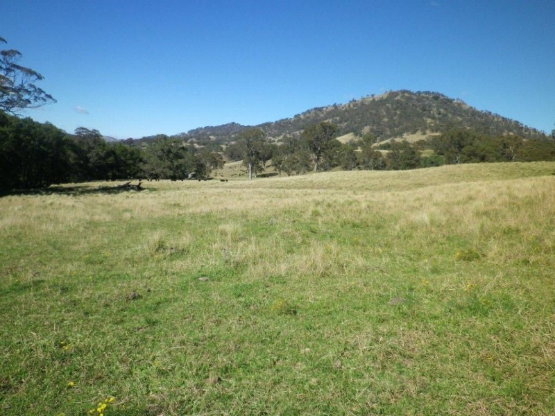 . Twin Hills & Mt Buckland, Scone NSW 2337