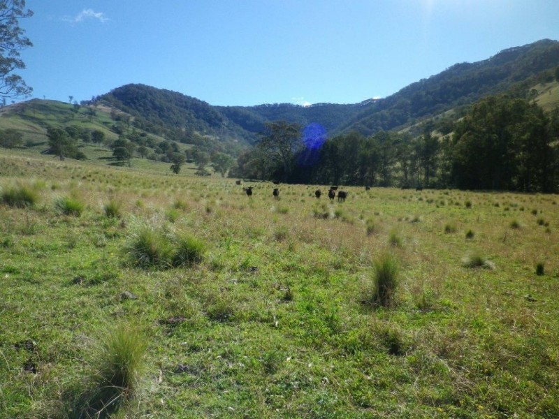 . Twin Hills & Mt Buckland, Scone NSW 2337