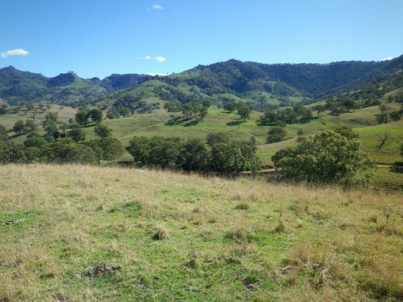 . Twin Hills & Mt Buckland, Scone NSW 2337